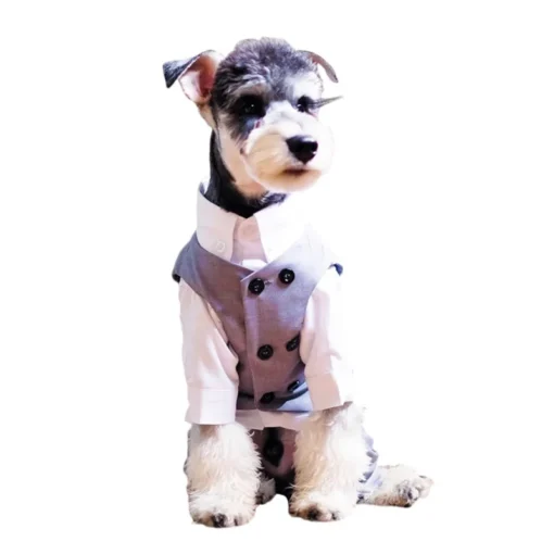 Wedding Dress Suit Tuxedo For Boy Dog Clothes Poodle Pomeranian Yorkie Bichon French Bulldog Pug Schnauzer Beloved Pet Dog Clothing Pet Apparel - Image 5