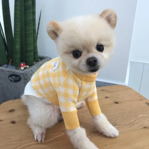 Cute Beloved Furry Beloved Small Dog Pets Sweater Winter Fashion Clothes Puppy Knit Apparel Poodle Maltese Yorkshire Terrier Pomeranian Bichon Pet Clothing Fashion Coat Apparels - Image 11