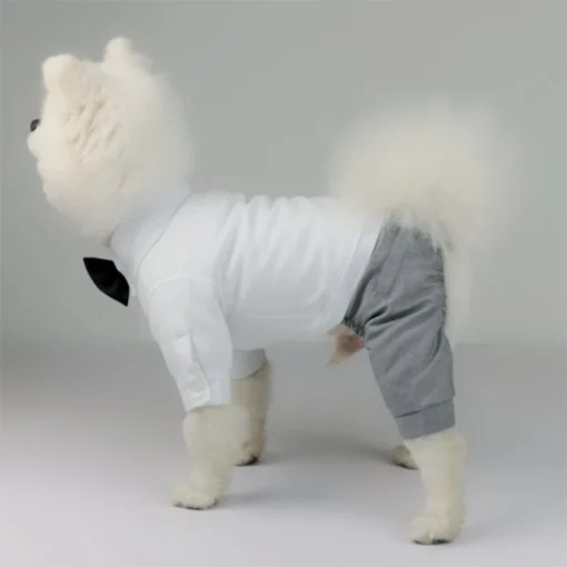 Wedding Dress Suit Tuxedo For Boy Dog Clothes Poodle Pomeranian Yorkie Bichon French Bulldog Pug Schnauzer Beloved Pet Dog Clothing Pet Apparel - Image 12