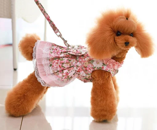 Cute Puppy Pet Dress Floral And Bow Shirt with Matching Dog Leash Furry Beloved Pet Puppy Dress Spring/Summer Clothes Apparel Fashion Design