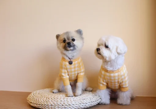 Cute Beloved Furry Beloved Small Dog Pets Sweater Winter Fashion Clothes Puppy Knit Apparel Poodle Maltese Yorkshire Terrier Pomeranian Bichon Pet Clothing Fashion Coat Apparels - Image 14