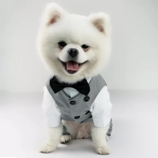 Wedding Dress Suit Tuxedo For Boy Dog Clothes Poodle Pomeranian Yorkie Bichon French Bulldog Pug Schnauzer Beloved Pet Dog Clothing Pet Apparel - Image 14