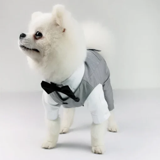 Wedding Dress Suit Tuxedo For Boy Dog Clothes Poodle Pomeranian Yorkie Bichon French Bulldog Pug Schnauzer Beloved Pet Dog Clothing Pet Apparel - Image 19