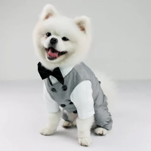 Wedding Dress Suit Tuxedo For Boy Dog Clothes Poodle Pomeranian Yorkie Bichon French Bulldog Pug Schnauzer Beloved Pet Dog Clothing Pet Apparel - Image 15