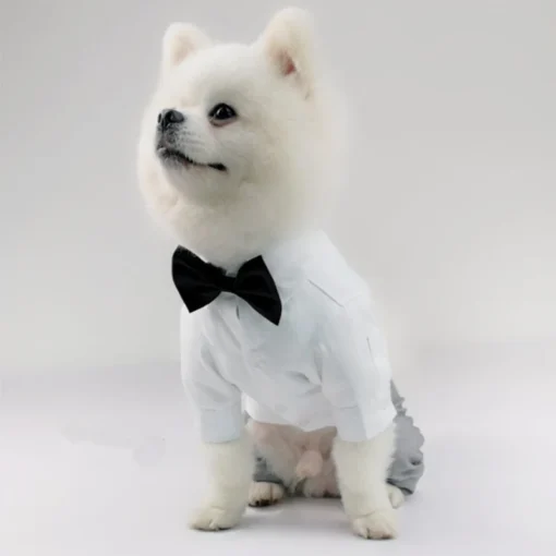 Wedding Dress Suit Tuxedo For Boy Dog Clothes Poodle Pomeranian Yorkie Bichon French Bulldog Pug Schnauzer Beloved Pet Dog Clothing Pet Apparel - Image 11